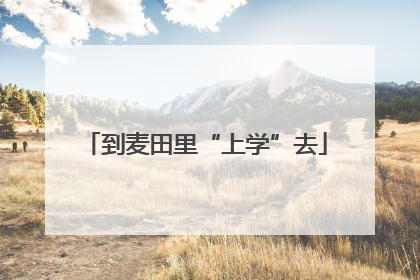 到麦田里“上学”去