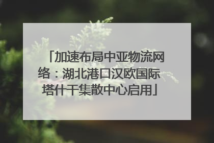 加速布局中亚物流网络：湖北港口汉欧国际塔什干集散中心启用