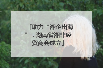 助力“湘企出海”，湖南省湘非经贸商会成立