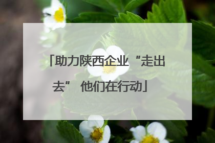 助力陕西企业“走出去” 他们在行动