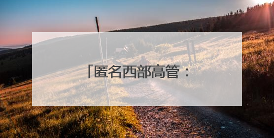 匿名西部高管：湖人对布朗尼有明确的培养计划