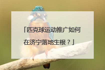 匹克球运动推广如何在济宁落地生根？