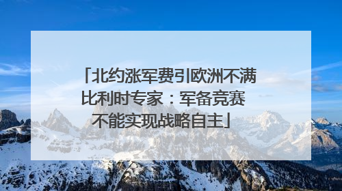 北约涨军费引欧洲不满 比利时专家：军备竞赛不能实现战略自主