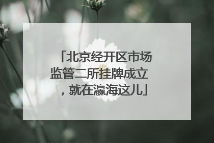 北京经开区市场监管二所挂牌成立，就在瀛海这儿