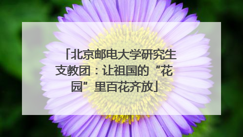 北京邮电大学研究生支教团：让祖国的“花园”里百花齐放