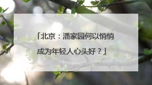 北京：潘家园何以悄悄成为年轻人心头好？