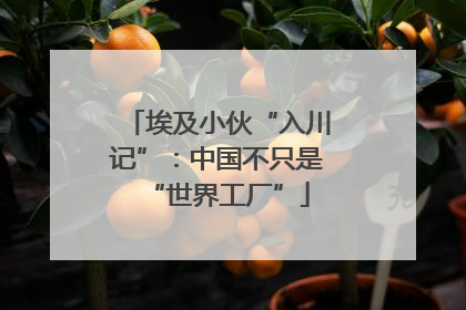 埃及小伙“入川记”：中国不只是“世界工厂”