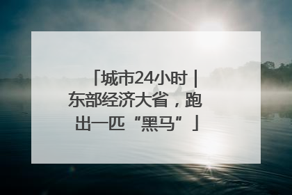 城市24小时｜东部经济大省，跑出一匹“黑马”