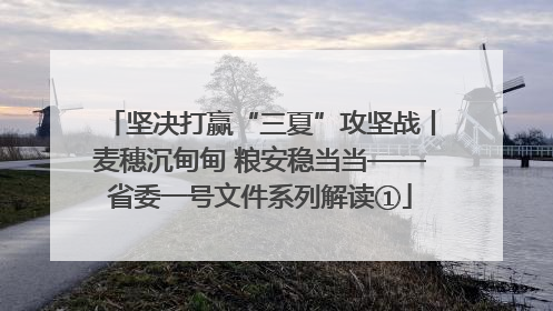 坚决打赢“三夏”攻坚战丨麦穗沉甸甸 粮安稳当当——省委一号文件系列解读①