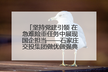 坚持党建引领 在急难险重任务中展现国企担当——石家庄交投集团做优做强典型报道之一