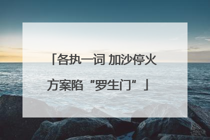 各执一词 加沙停火方案陷“罗生门”