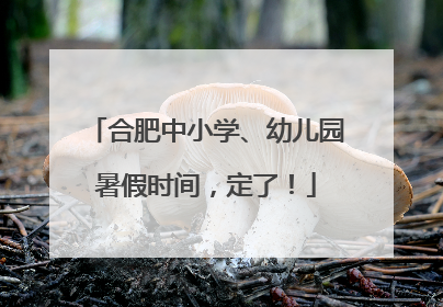 合肥中小学、幼儿园暑假时间，定了！