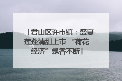 君山区许市镇：盛夏莲蓬清甜上市 “荷花经济”飘香不断