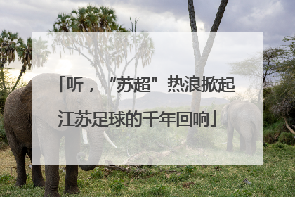 听，“苏超”热浪掀起江苏足球的千年回响