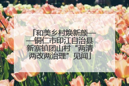 和美乡村焕新颜——铜仁市印江自治县新寨镇团山村“两清两改两治理”见闻