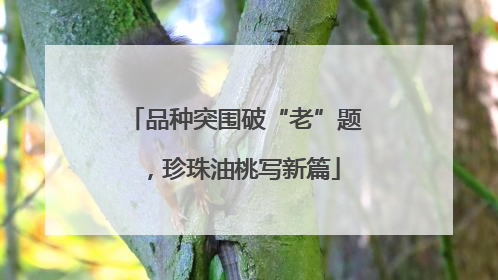 品种突围破“老”题，珍珠油桃写新篇