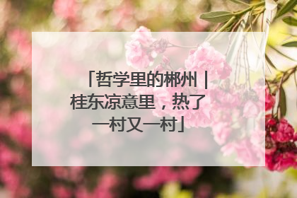 哲学里的郴州｜桂东凉意里，热了一村又一村