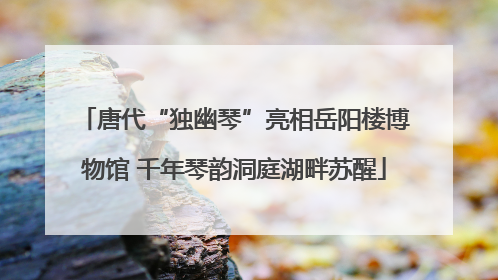 唐代“独幽琴”亮相岳阳楼博物馆 千年琴韵洞庭湖畔苏醒