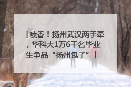 喷香！扬州武汉两手牵，华科大1万6千名毕业生争品“扬州包子”