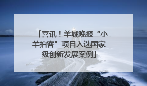 喜讯！羊城晚报“小羊拍客”项目入选国家级创新发展案例