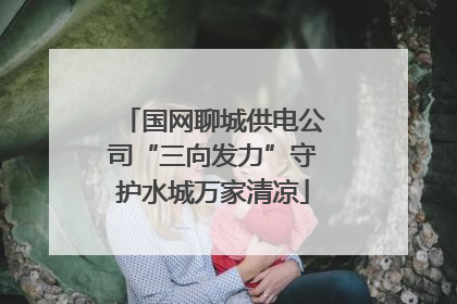 国网聊城供电公司“三向发力”守护水城万家清凉