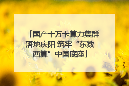 国产十万卡算力集群落地庆阳 筑牢“东数西算”中国底座