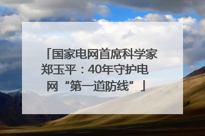 国家电网首席科学家郑玉平：40年守护电网“第一道防线”