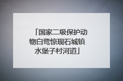 国家二级保护动物白鹭惊现石城镇水堡子村河道