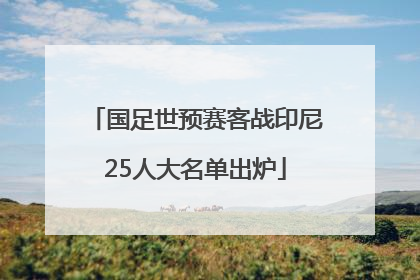 国足世预赛客战印尼25人大名单出炉