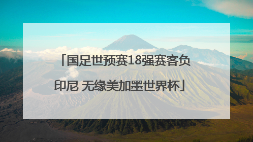 国足世预赛18强赛客负印尼 无缘美加墨世界杯