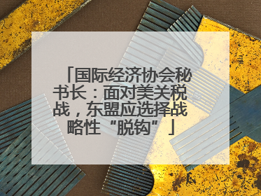 国际经济协会秘书长：面对美关税战，东盟应选择战略性“脱钩”