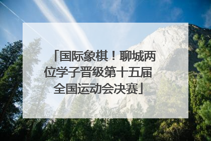 国际象棋！聊城两位学子晋级第十五届全国运动会决赛