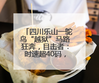 四川乐山一鸵鸟“越狱”马路狂奔，目击者：时速超40码，还对我“笑”了下