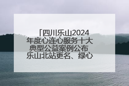 四川乐山2024年度心连心服务十大典型公益案例公布 乐山北站更名、绿心路井盖治理等上榜