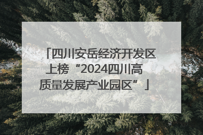 四川安岳经济开发区上榜“2024四川高质量发展产业园区”