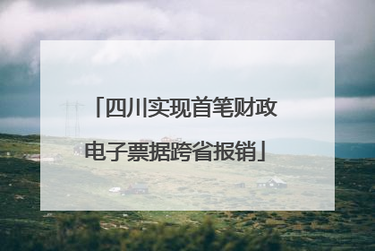 四川实现首笔财政电子票据跨省报销