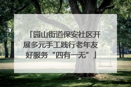 园山街道保安社区开展多元手工践行老年友好服务“四有一无”