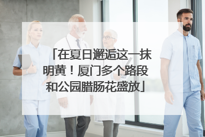 在夏日邂逅这一抹明黄！厦门多个路段和公园腊肠花盛放