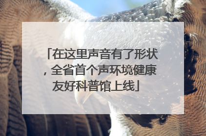 在这里声音有了形状，全省首个声环境健康友好科普馆上线