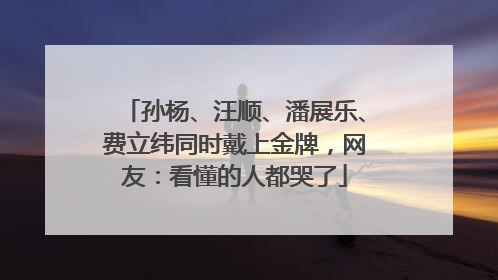 孙杨、汪顺、潘展乐、费立纬同时戴上金牌，网友：看懂的人都哭了