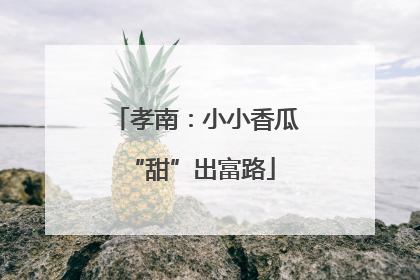 孝南：小小香瓜 “甜”出富路