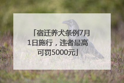 宿迁养犬条例7月1日施行，违者最高可罚5000元