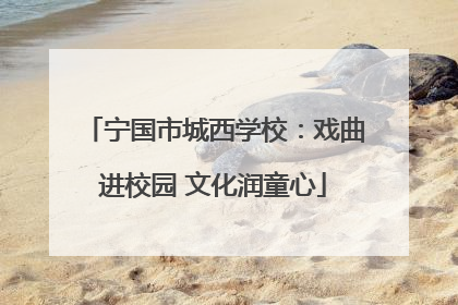 宁国市城西学校：戏曲进校园 文化润童心