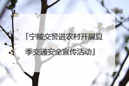 宁陵交警进农村开展夏季交通安全宣传活动