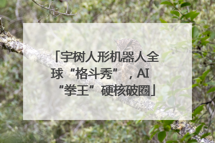 宇树人形机器人全球“格斗秀”，AI“拳王”硬核破圈