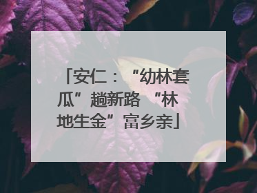 安仁：“幼林套瓜”趟新路 “林地生金”富乡亲