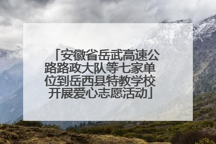 安徽省岳武高速公路路政大队等七家单位到岳西县特教学校开展爱心志愿活动