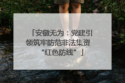 安徽无为：党建引领筑牢防范非法集资“红色防线”