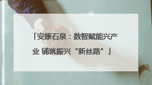 安康石泉：数智赋能兴产业 铺就振兴“新丝路”