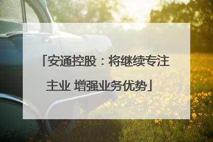 安通控股：将继续专注主业 增强业务优势